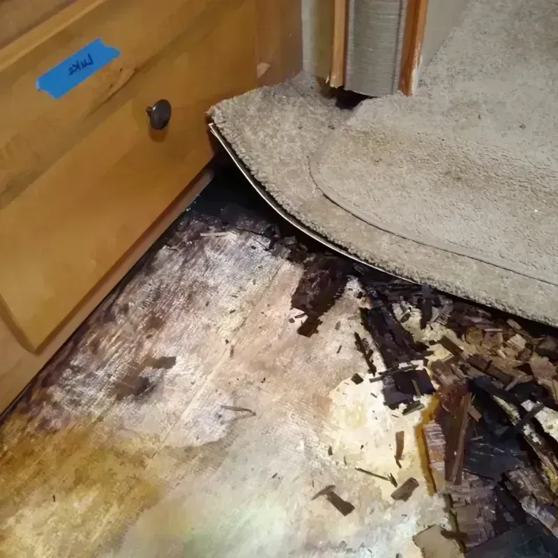 Wood Floor Water Damage in Wyoming, DE